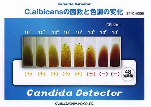 カンジダディテクター